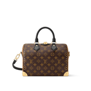 Speedy Trunk 25 Handbag